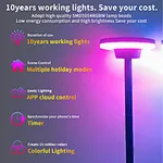 12w led path lights​